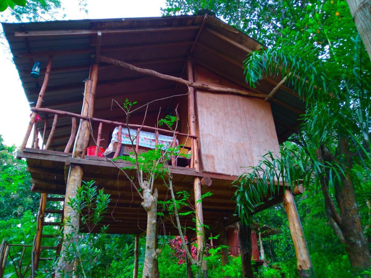Akash Treehouse Apartment Sigiriya Exterior photo