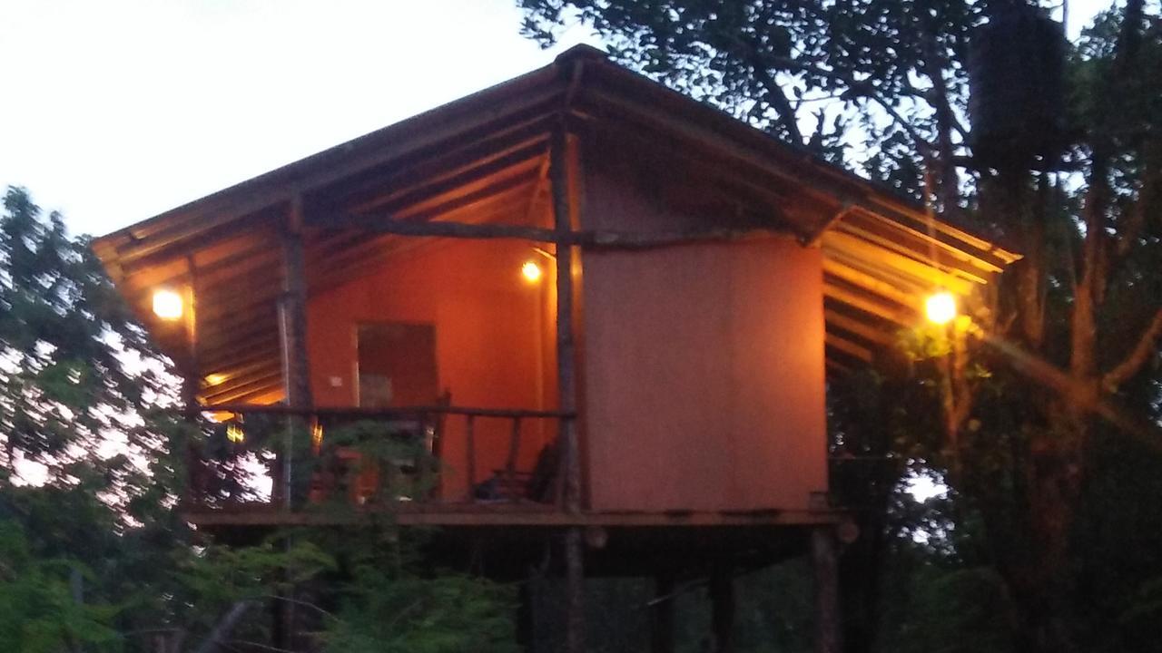 Akash Treehouse Apartment Sigiriya Exterior photo